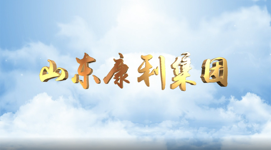 山東康利集團